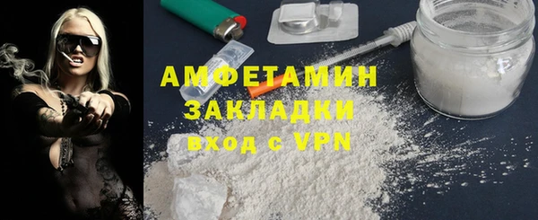 сатива Аркадак