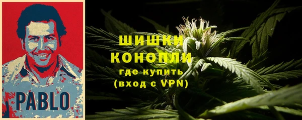 spice Армянск