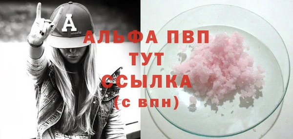 сатива Аркадак